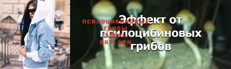 маркетплейс официальный сайт  Нефтегорск  Галлюциногенные грибы Magic Shrooms 